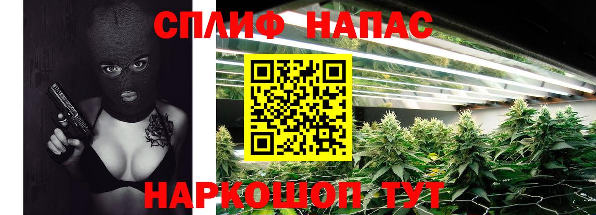 Канабис сатива  Конопля Amnesia  Дербент  Канабис OG Kush  Вход с VPN 